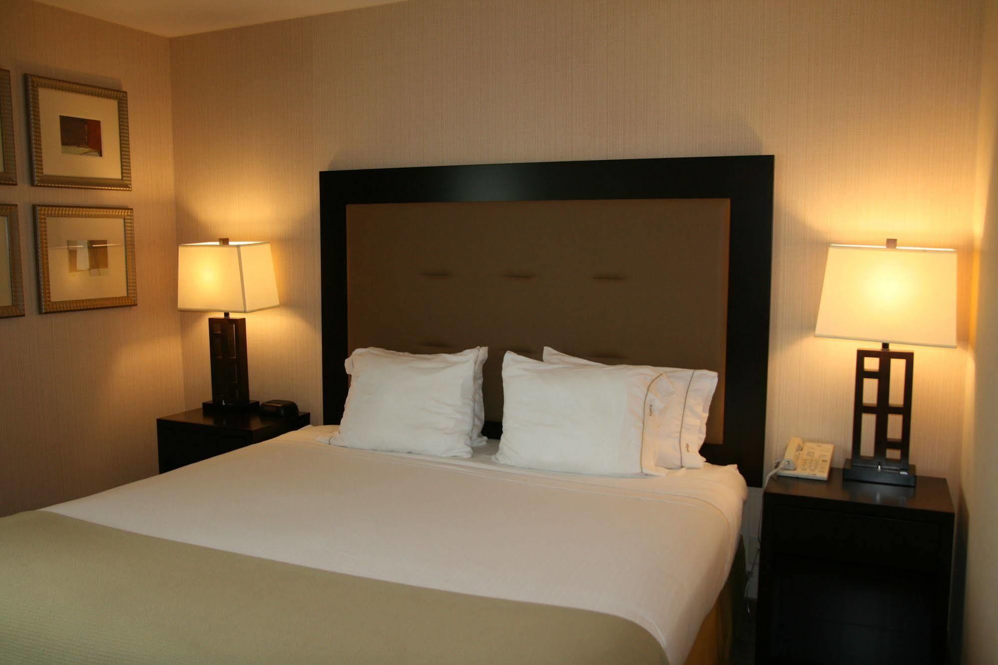 Holiday Inn Express Seattle - Sea-Tac Airport By Ihg SeaTac Eksteriør bilde